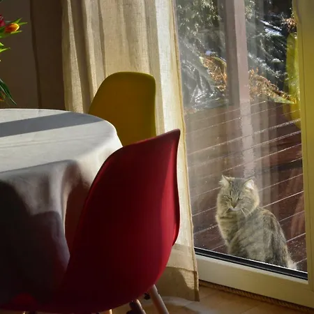 Ferienhaus Bukowianka W Bukowcu Kolo Karpacza Bukowiec (Lower Silesia)