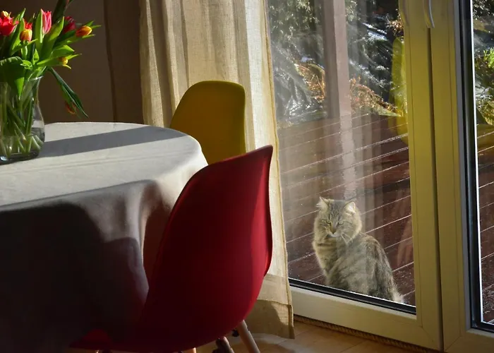 بيت للعطل Bukowianka W Bukowcu Kolo Karpacza Bukowiec (Lower Silesia)